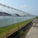 송용리1 이미지