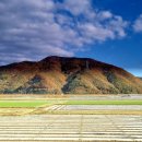 도진리마을회관 이미지