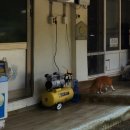 단양남천계곡물가 이미지