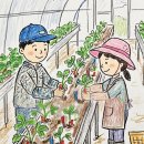 푸르농장 | 농협 청년농부사관학교 14기 딸기반 12주 차 후기 : 6주간의 실습의 마지막 주