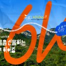 나여사 김밥 이미지