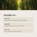 죽녹원 | 담양 죽녹원 산책 후기: 인생샷 명소와 힐링 코스 총정리!