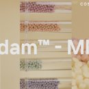 아담(A. DAM)