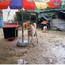 용전축산 이미지