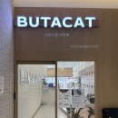 메인캣 | [인천고양이카페] 부타캣 앨리웨이 인천점 이용 후기