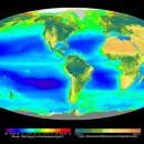 임해로(서) 이미지