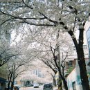 완월동214 이미지