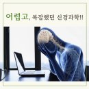 뇌신경해부학 Basic 과정 (온라인) 이미지