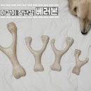 강아지유치원왕왕 - 마포구 마포대로11길 92 | 강아지 이갈이 장난감｜베러본 미니·스몰·라지 사용 후기