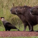 행정사 김봉규 사무소 이미지