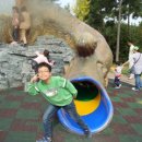 고성공룡박물관야영장 이미지