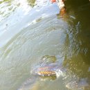 형제낚시터 이미지