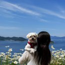 더포레스트랜드2