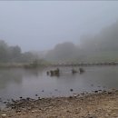 청천공원 이미지