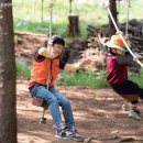 유아숲체험장 - 숲에서 놀며 배우며…‘유아숲’ 올해 바뀐 것들 이미지