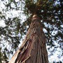 숲길농원 이미지