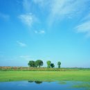 하늘 당구장 이미지