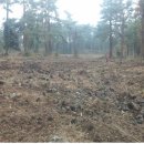 농업회사 토지인 이미지