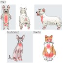 방주동물의료센터 이미지