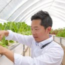 최씨농장 이미지