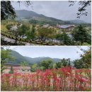 한국산림과학고등학교 이미지