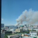 대구매천초등학교 이미지