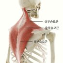 범피티 이미지