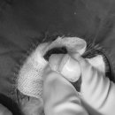 리온동물병원 이미지