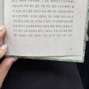 상무누리로L | 5월 도쿄여행, 해리포터스튜디오, 가정의 달, 셀프네일