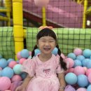 꽃향 Daum카페