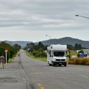 폭스(fox) 이미지