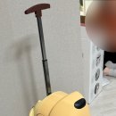 둥글리다 이미지