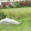 신길근린공원 이미지