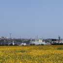 부곡동 돌담해안숲공원 이미지