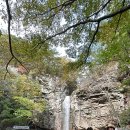 황산목장 이미지