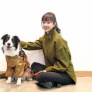 아라에너지 이미지