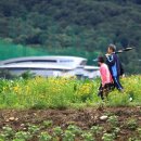 비온후풍경 이미지