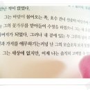 나무한그루책