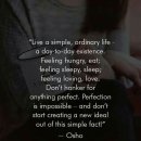 까사까미노 이미지