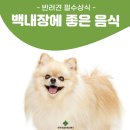 미사동물병원 이미지