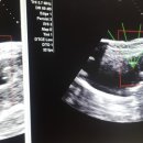 혜성산부인과병원 이미지