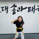 용인대송라태권도