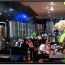 BROWN BEER(브라운 비어)