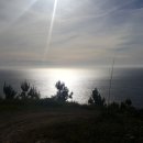 피스테라 이미지