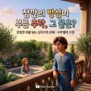 📉 방심의 덫에서 시작된 추락과 은밀한 죄를 덮으시는 십자가의 은혜 (사무엘하 11장) 이미지