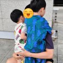 581 | 보홀 항공권 특가 3박5일 에어서울 RS581 탑승 후기