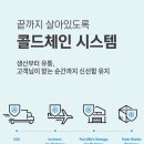 빛이나약국 | 람노플여성유산균 여성 질유산균 6개월째 내돈내산 후기