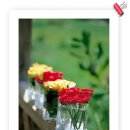 꽃을주는사람 이미지