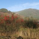 내원백운 이미지