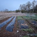 부근농장 이미지